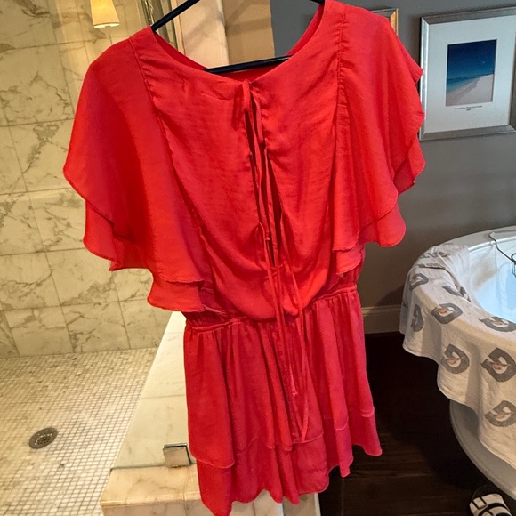 Impeccable Pig Mini Dress - Picture 2 of 3